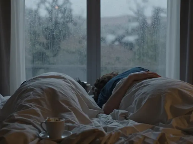 One Night Stand - Where Passion Meets Adventure for One Night